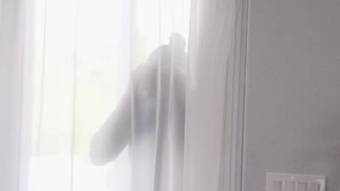 Азиатка и ее жопастая мачеха трахнули брутального тренера вместо тренировки
