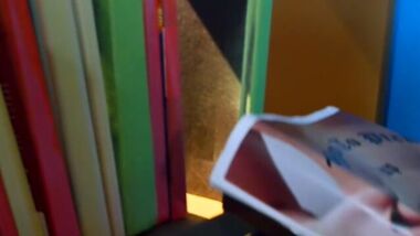 Библиотекарша делает глубокий минет студенту между книжными полками